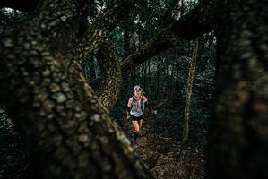 BIB: 
                            <button type="button" onclick="openModal(25678153)" class="btn btn-primary btn-sm float-right btn-popup" data-toggle="modal" data-target=".modal-high-quality">
                        <i class="fas fa-shopping-cart"></i> Add to Cart
                    </button>
                                            <button type="button" onclick="isThisMe(25678153, true)" class="btn btn-success btn-sm float-right btn-popup btn-isme hidden" data-toggle="tooltip" data-placement="bottom" title="นี่คือรูปของคุณใช่ไหม คลิกที่นี่เพื่อเอาเข้าอัลบั้ม">
                        <i class="fas fa-plus"></i> Add to album
                    </button>
                    <button type="button" onclick="isThisMe(25678153, false)" class="btn btn-warning btn-sm float-right btn-popup btn-isnotme hidden">
                        <i class="fas fa-ban"></i> Remove from album
                    </button>